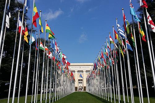 Many countries flags lining a walkway